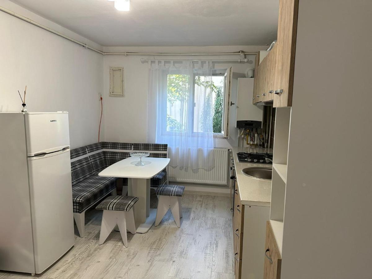 Apartament Rovine Craiova Eksteriør billede