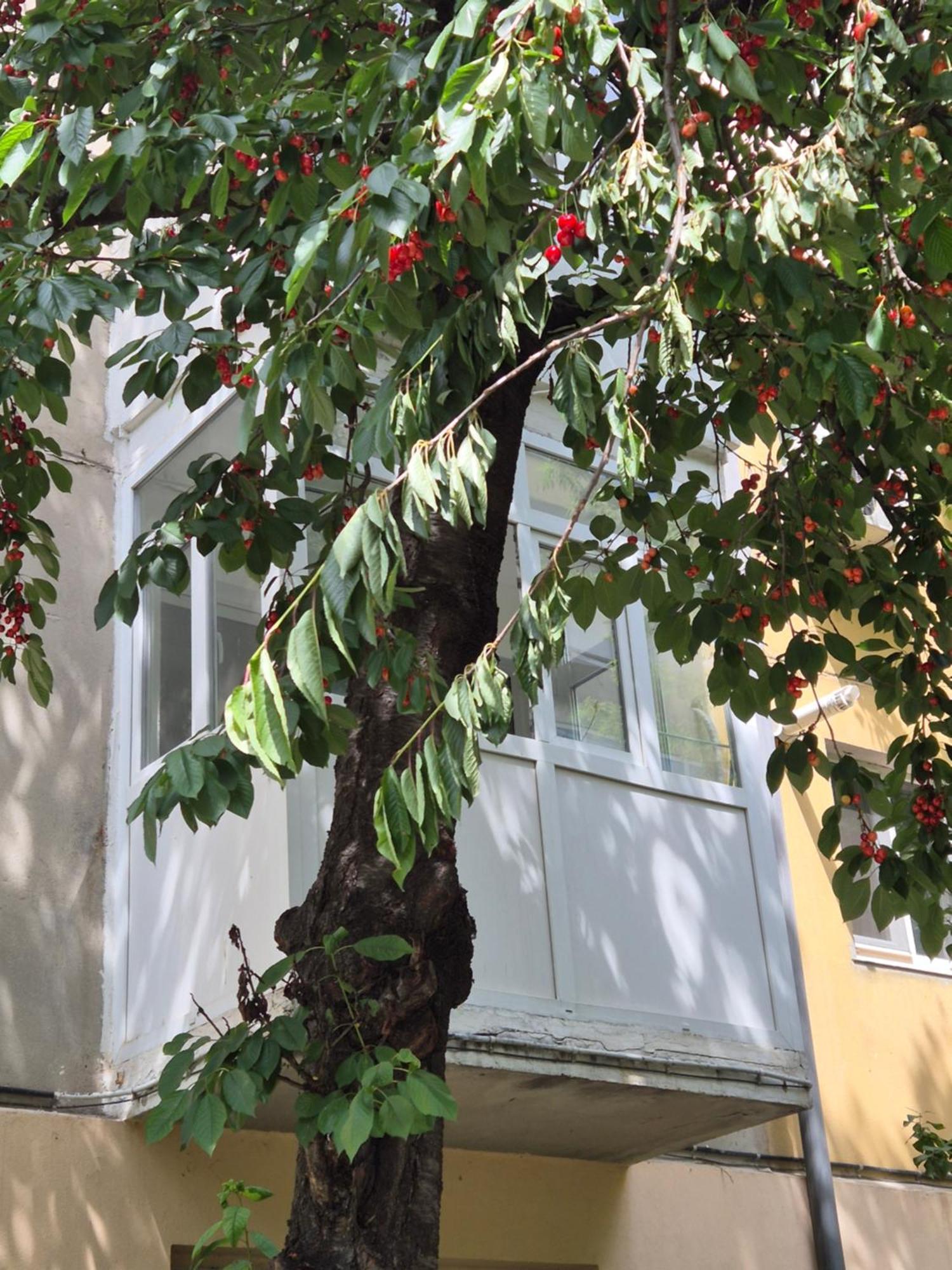 Apartament Rovine Craiova Eksteriør billede